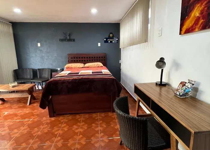 Comoda En Coyoacan * Mexico City
