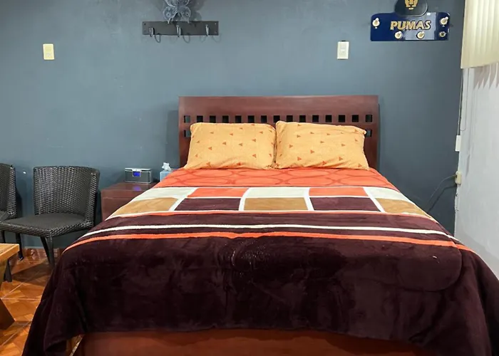 Homestay Comoda En Coyoacan Mexico City