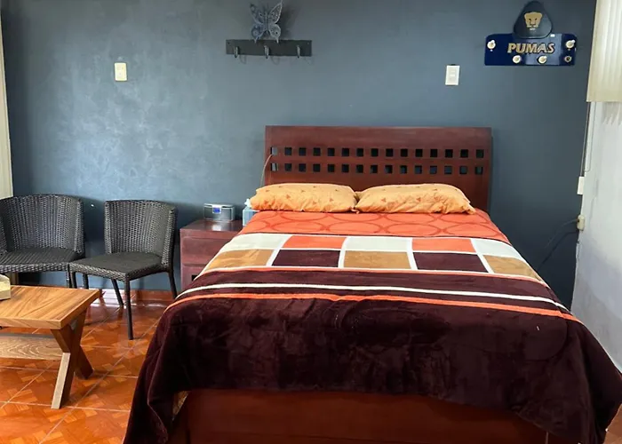 Comoda En Coyoacan * Mexico City